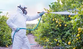 The New Era of Fungicides: What's New and What's Next?