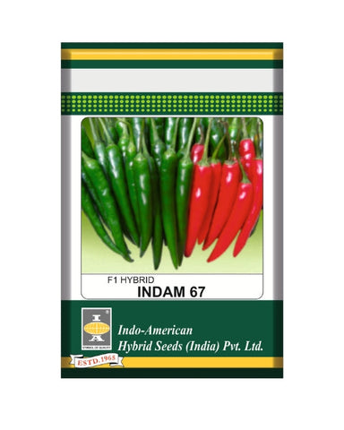Vegetable Seeds