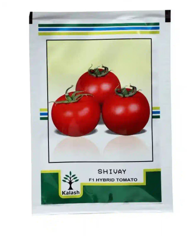 Kalash Shivay F1 Hybrid Tomato Seeds, Shaped Of Square Round And Indeterminate