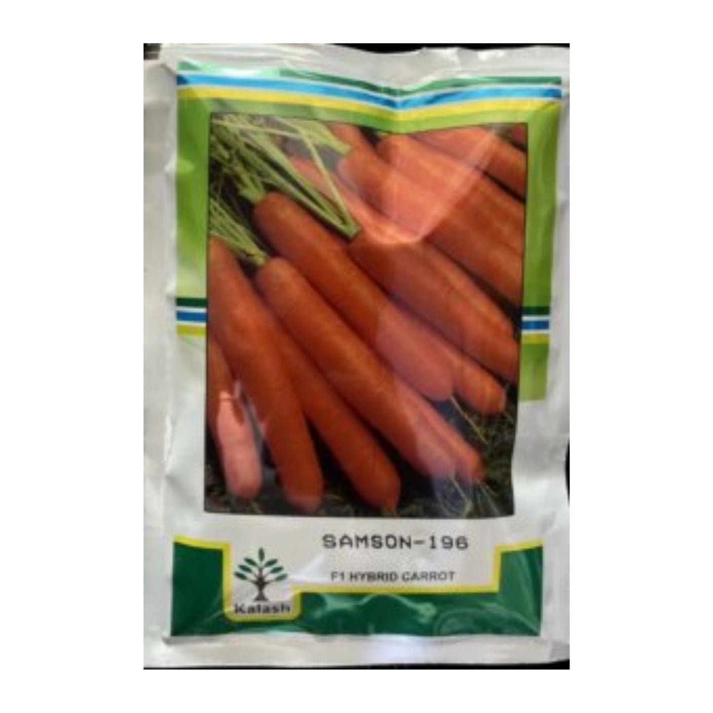 Kalash Preeti F1 Hybrid Brinjal Seeds, Dark Violet, Semi-Erect Plant And Spiny Shaped