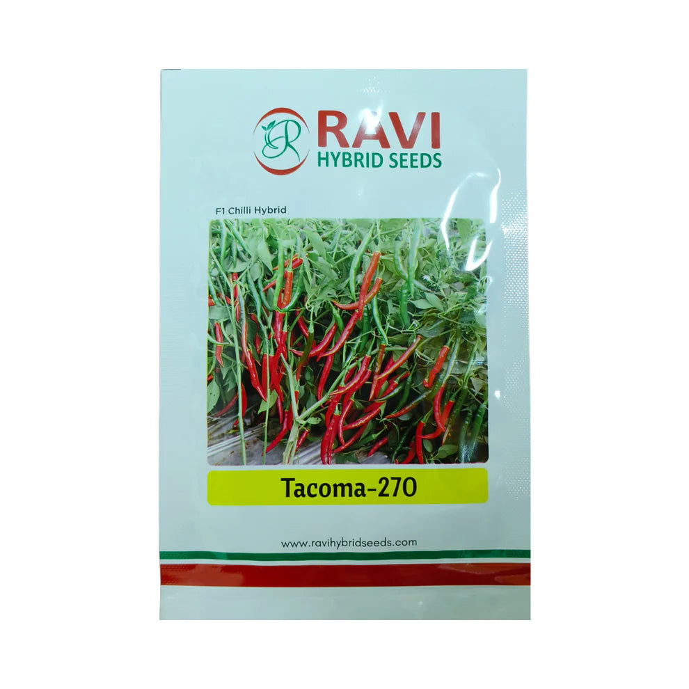 Ravi Tacoma-270 Hybrid Chilli Seeds, Dual Purpose Variety, Dark Red, High Pungencyoot And Yield Enhancers For All Crops