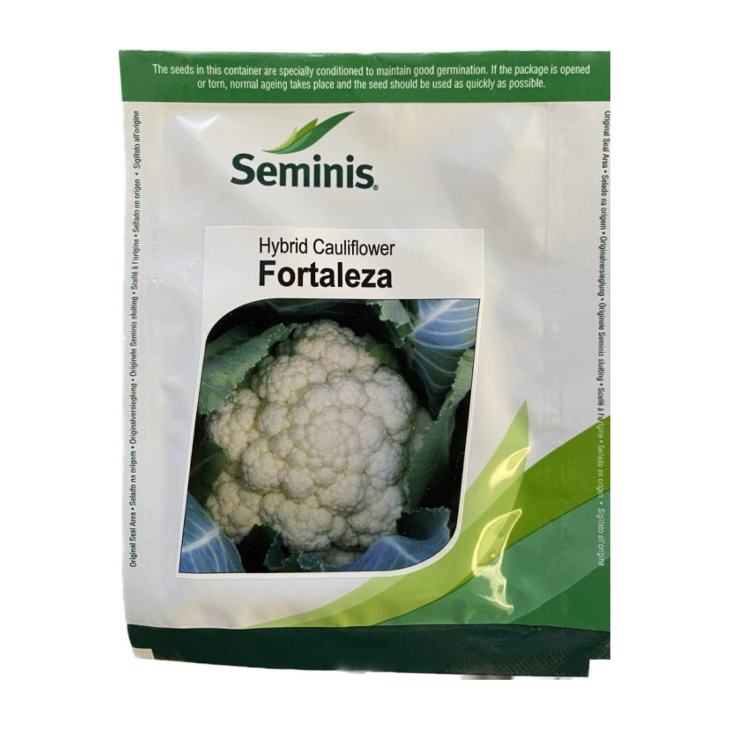Seminis F1 Hybrid Fortaleza Cauliflower Seeds, Well Suited For Winter Harvest (2000 Seeds)