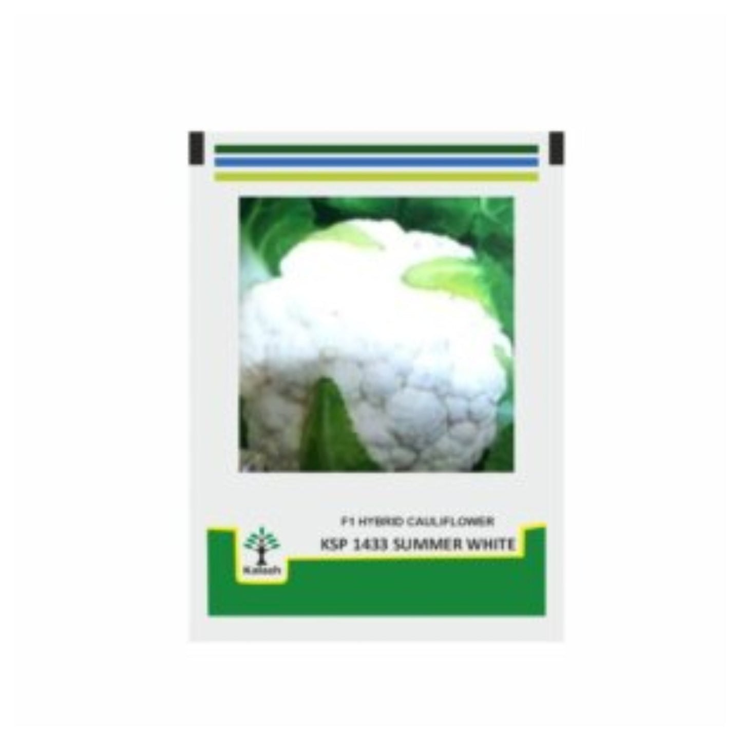 Kalash Cauliflower Seeds KSP 1606 (2000 Seeds) , Suitable For Kharif and Rabi Season