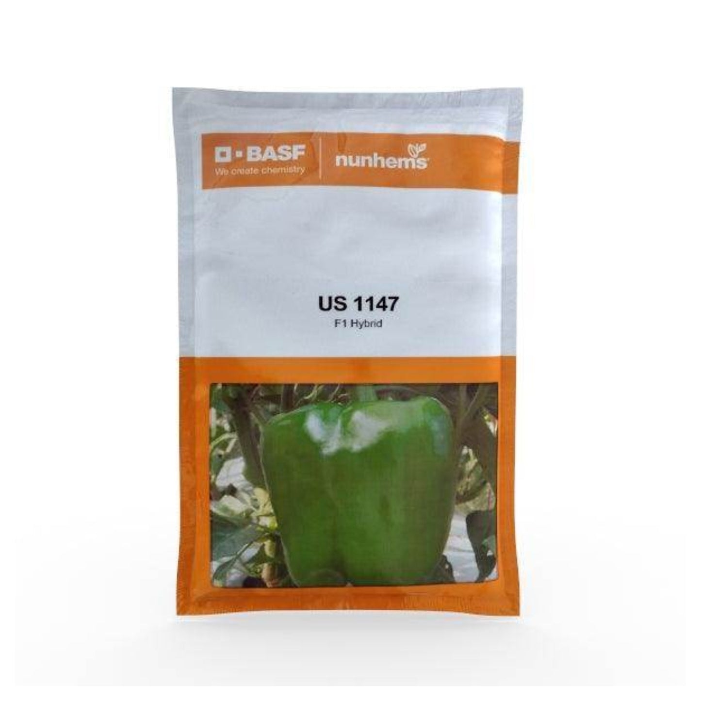 BASF Nunhems Hybrid Sweet Pepper US 1147 Seeds, Shiny and Firm Fruits, High Yielding Variety (1000 Seeds)