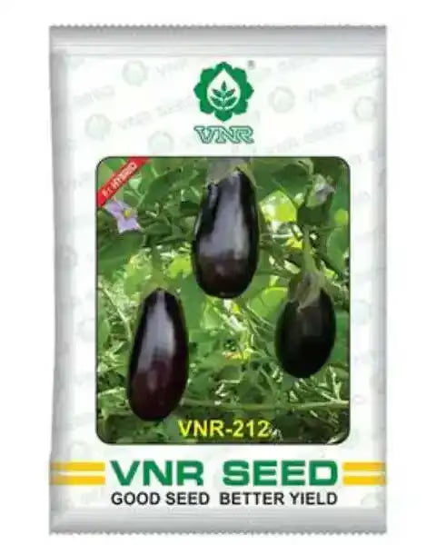 वीएनआर बैंगन एफ1 हाइब्रिड वीएनआर 212 बीज, गहरे बैंगनी, बैंगनी रंग के बाह्यदलपुंज के साथ आयताकार फल