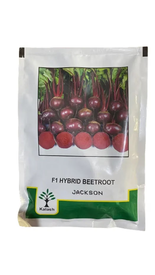 Kalash Beetroot KSP 5340 Jackson F1 Hybrid Seeds , Upright With Wider Adaptability