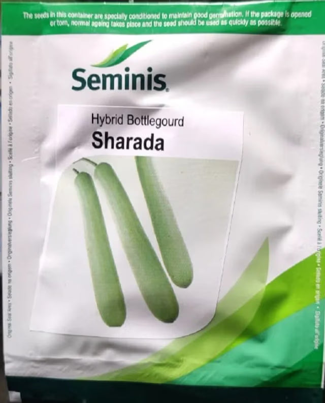 Seminis Hybrid Sharada Bottle Gourd Seeds, Determinate Plants, Good Tolerance to Bligth and Downey Mildew.