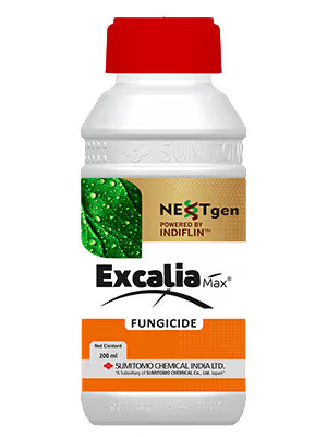 Sumitomo Excalia Max Inpyrfluxam + Tebuconazole Fungicide, Dual-Action, Effective For Disease Control In Paddy And Coffee Crops