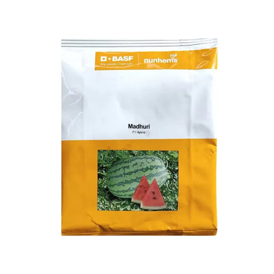 BASF Nunhems F1 Hybrid Madhuri Watermelon Seeds, Oval Elongated (1000 Seeds)