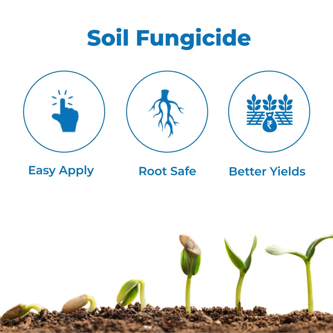 Tata Rallis Zaafu Hexaconazole 0.5% GR Fungicide, Ready To Use Granular Fungicide Formulation