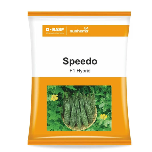BASF Nunhems Speedo F1 Hybrid Bitter Gourd Seeds, Dark Green & Uniform Fruits