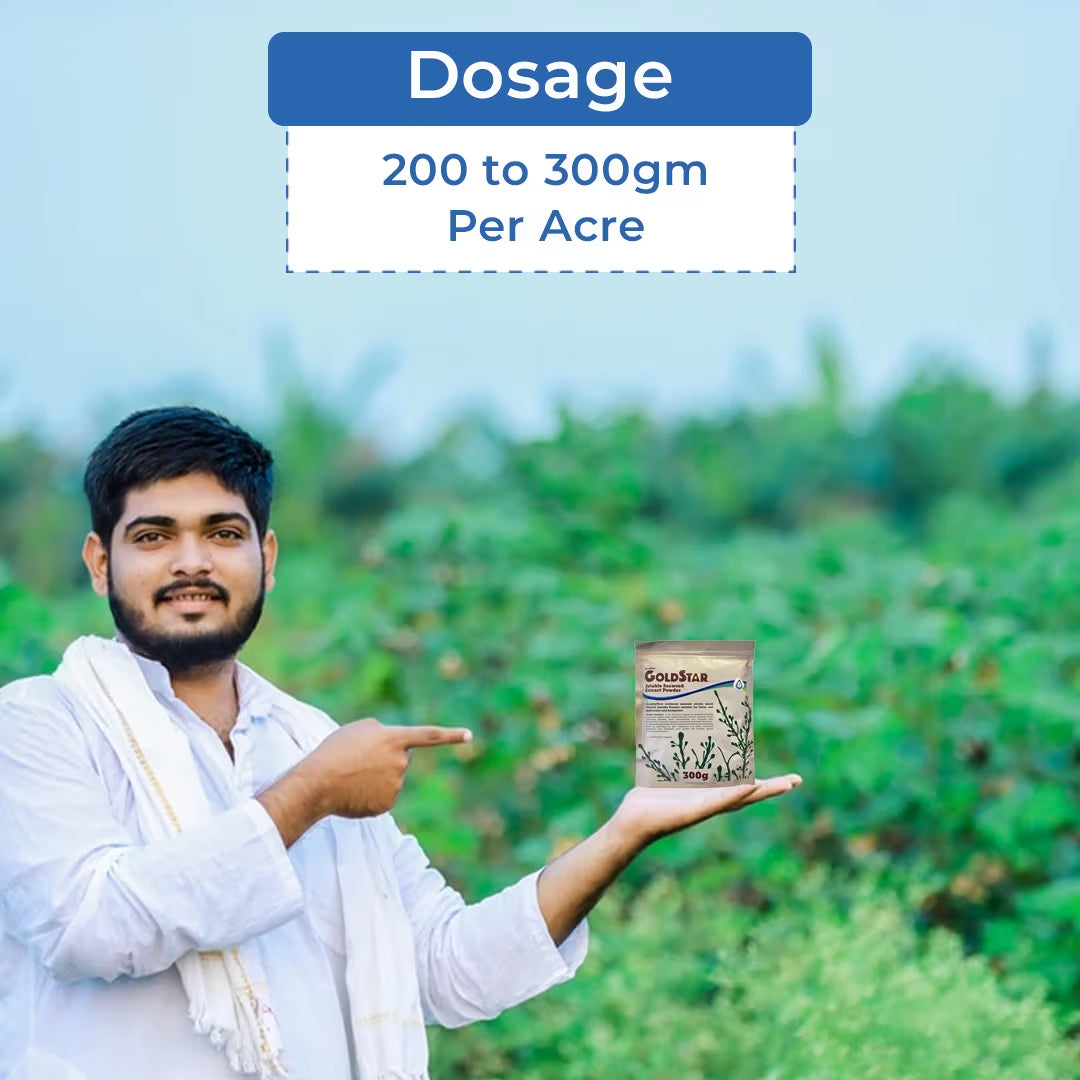Acadian Goldstar Biostimulant, Ascophyllum Nodosum Seaweed Extract, Enhances Abiotic Stress Of Plant