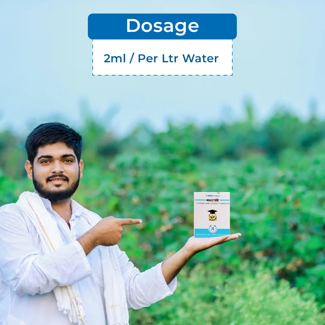 Tata Rallis Master - Mancozeb 64% WP + Metalaxyl 8%, Fungicide Effective Against Downy Mildew