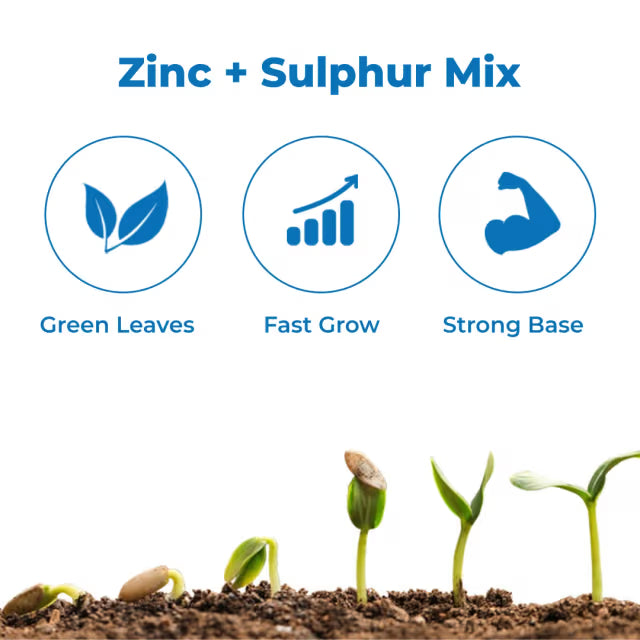 Aries Zn Sulf, Zinc 33% and Sulphur 15% Zinc Sulphate Monohydrate, Improves Flower and Fruit Setting