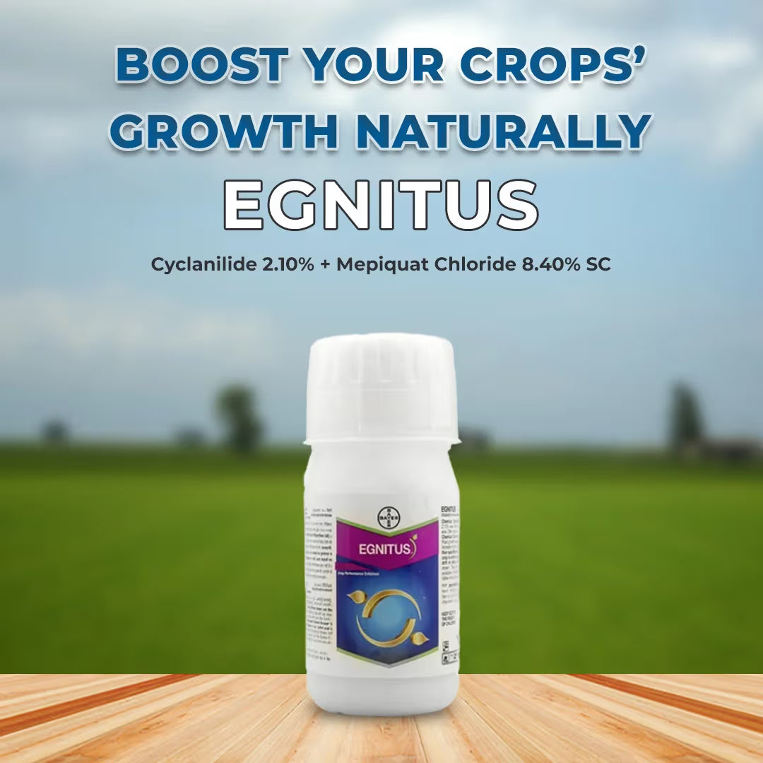 Bayer Egnitus - Plant Growth Regulator