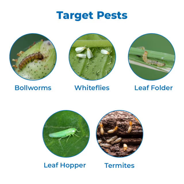FMC Talstar Plus Insecticide