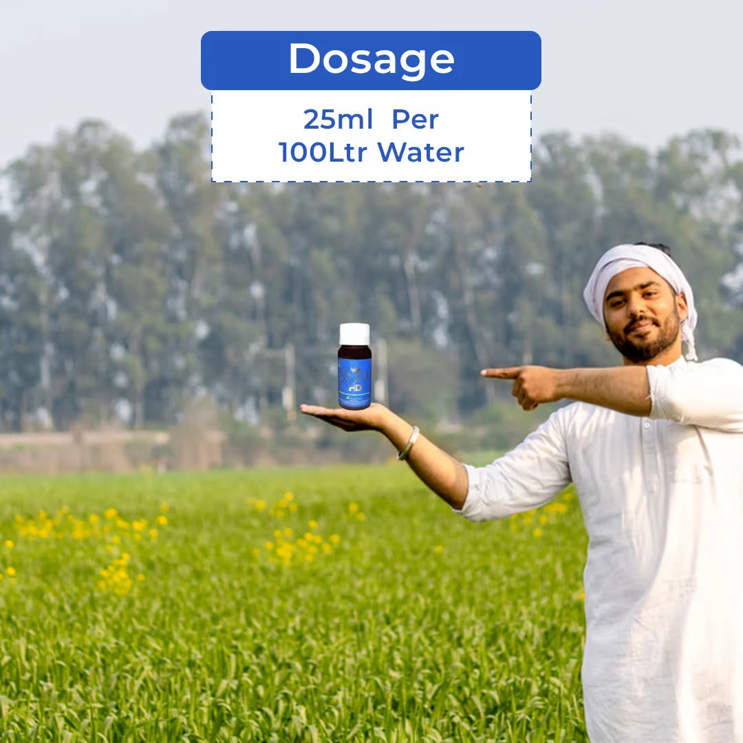 Aries Rajat HD Fungicide