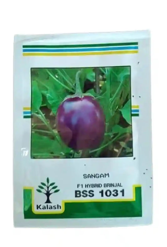 Kalash F1 Hybrid BSS 1031 Sangam Brinjal Seeds, Bright Purple Color and Round Shape