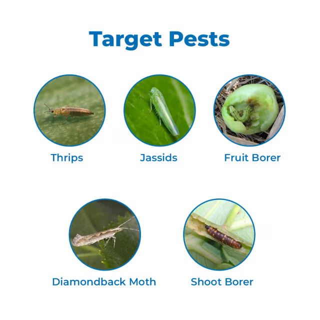 Indofil Alecto Broflanilide 20% SC Contact and Translaminar Insecticide, Control On Lepidopteran Pests