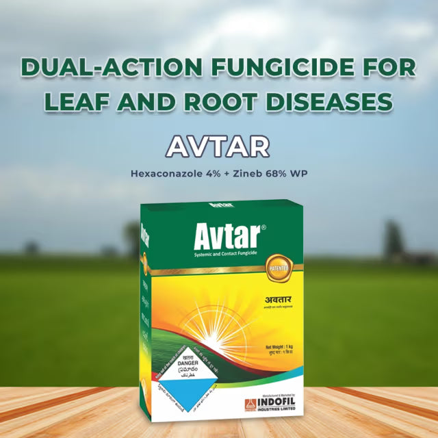 Indofil Avtar Fungicide