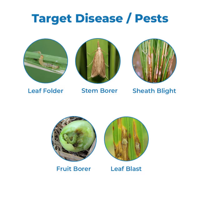 Gharda Tipsy Azoxystrobin 10% + Fipronil 5% Sc Fungicide + Insecticide. Used for Control Fruit Borer, Powdery Mildew, Sheath Blight, Plant Hopper etc.