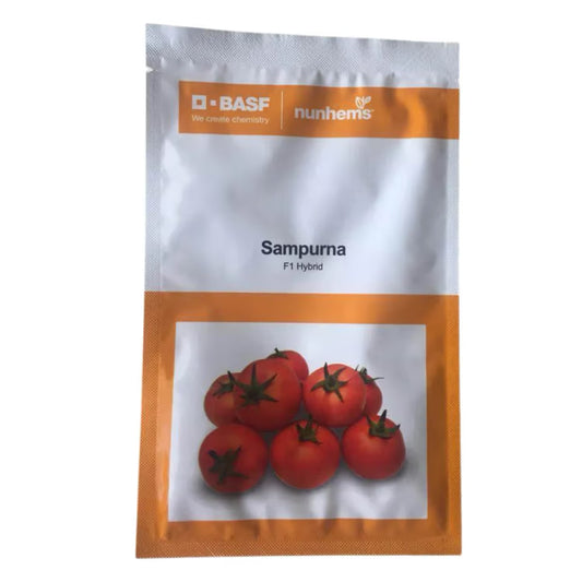 BASF Nunhems Sampurna F1 Hybrid Tomato Seeds, High Yield & Resistance To Tomato Leaf Curl Virus