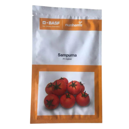 BASF Nunhems Sampurna F1 Hybrid Tomato Seeds, High Yield & Resistance To Tomato Leaf Curl Virus