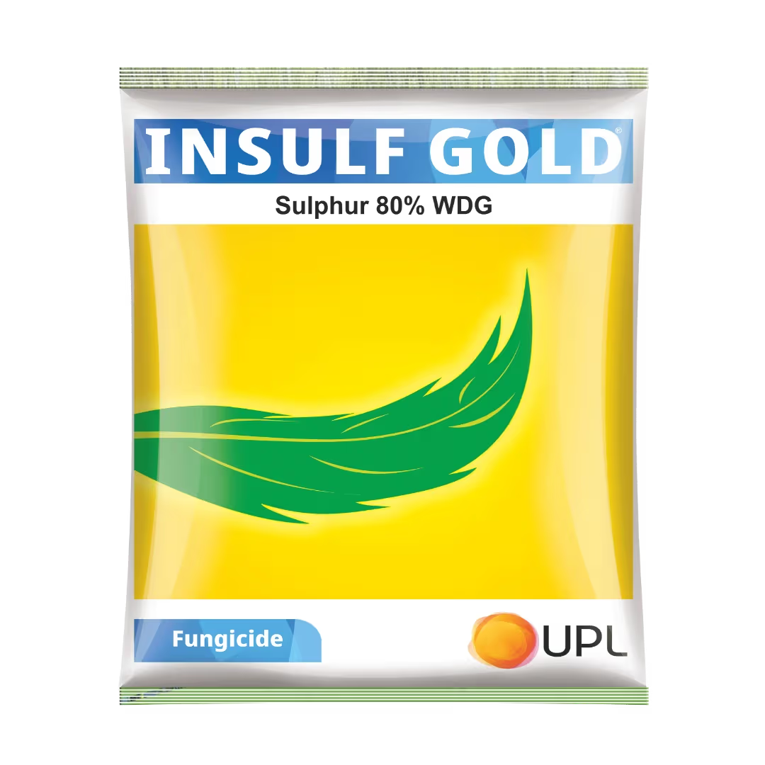 UPL Insulf Gold Sulphur 80% WDG Fungicide, Micronutrient, and Miticide Triple Action For Multiple Crop Protection