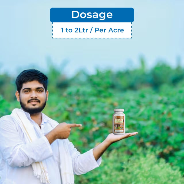 Aries Aquacal Plant Nutrient, Specially Designed for Fertigation and Drip Irrigation Form of Water Soluble