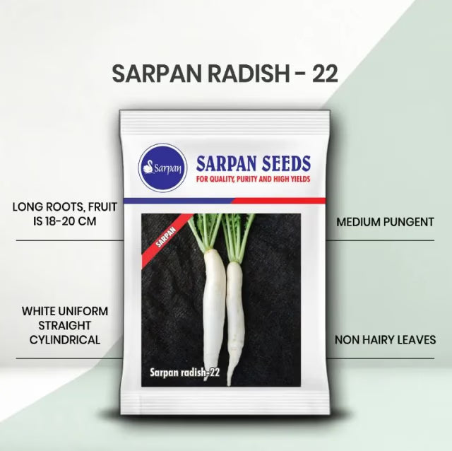 Sarpan Hybrid 22 Radish Seeds. Long Roots, Non Hairy Leaves, Medium Pungent