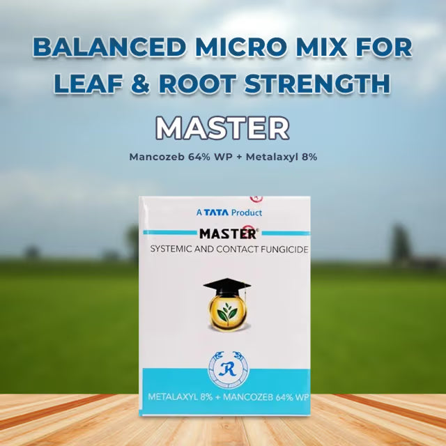 Tata Rallis Master - Mancozeb 64% WP + Metalaxyl 8%, Fungicide Effective Against Downy Mildew