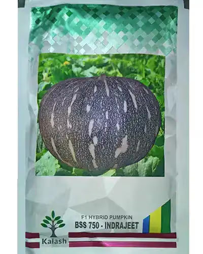 Kalash Pumpkin Bss 750 Indrajeet Hybrid Seeds, Flat Round Shape, Green with White Dots