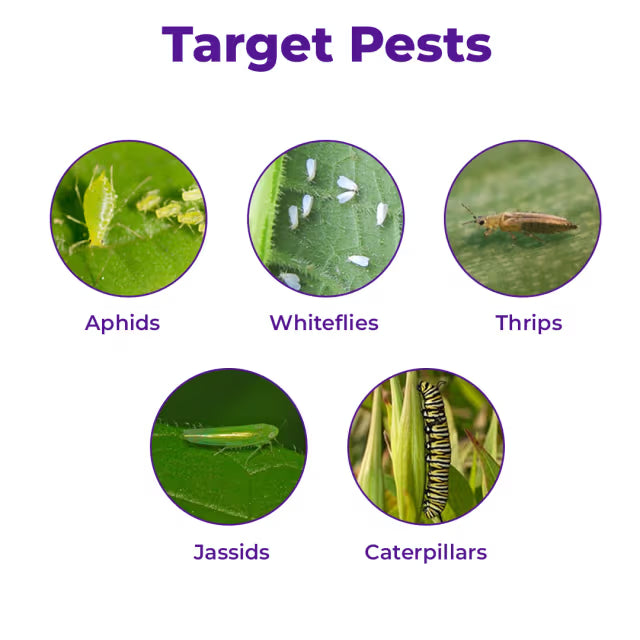T.Stanes Wektocon Azadiractin 0.3% Content Of 3000 PPM , Neem Based Product