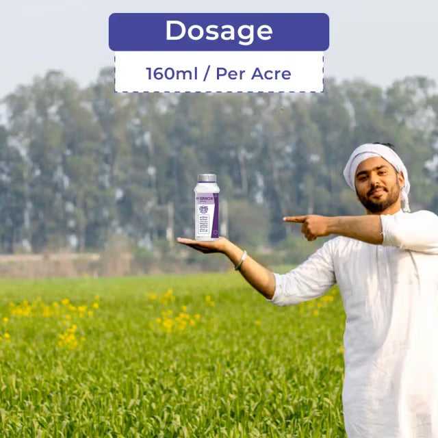 Godrej Gracia Insecticide