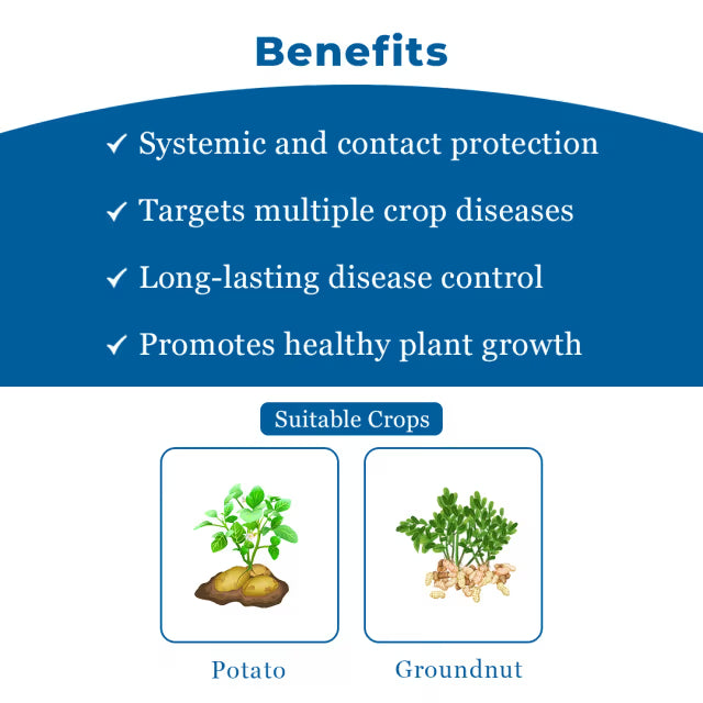 Indofil Sprint Carbendazim 25% + Mancozeb 50% WS, Broad-spectrum contact and systemic fungicide.