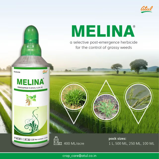 Atul MELINA Fenoxaprop-p-ethyl 9.3% EC Hebicide, Control Of Grassy Weeds In Soybean, Paddy, Black Gram And Cotton Crops