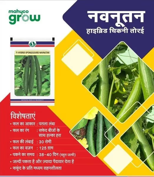 Sungro F1 Hybrid Navnutan Sponge Gourd Seeds, Light Green Fruit with White Seeds, Long In Shape and Early Maturity
