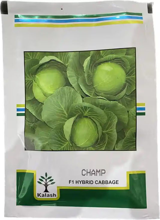 Kalash Champ Cabbage Hybrid Seeds, Specially Recommended For Sowing In Summer And Rainy Season