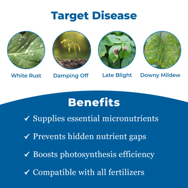 Tata Rallis Master - Mancozeb 64% WP + Metalaxyl 8%, Fungicide Effective Against Downy Mildew