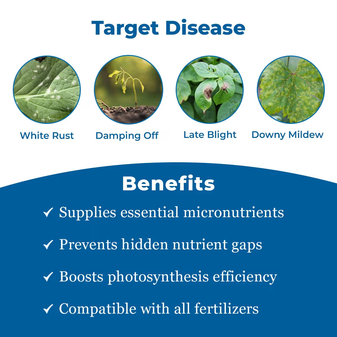 Tata Rallis Master - Mancozeb 64% WP + Metalaxyl 8%, Fungicide Effective Against Downy Mildew