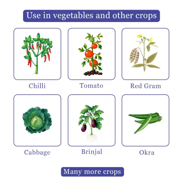 Godrej Gracia Insecticide