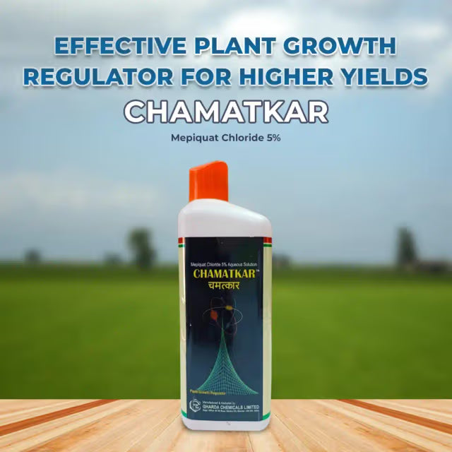 Gharda Chamatkar Growth Regulator, Mepiquat Chloride 5% Aqueous Solution, Excessive Vegetative Growth and Increase Crop Yield