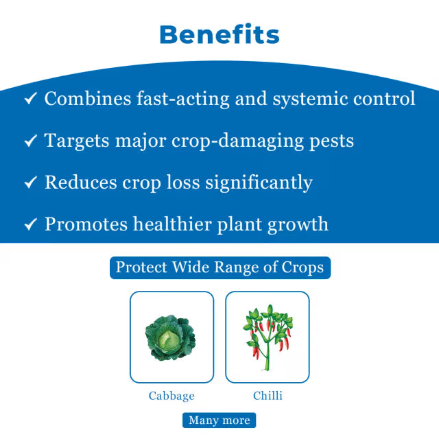 Gharda Black Indoxacarb 5% + Fipronil 5% SC Insecticide, Control Of Thrips In Chilli And Diamond Back Moth In Cabbage