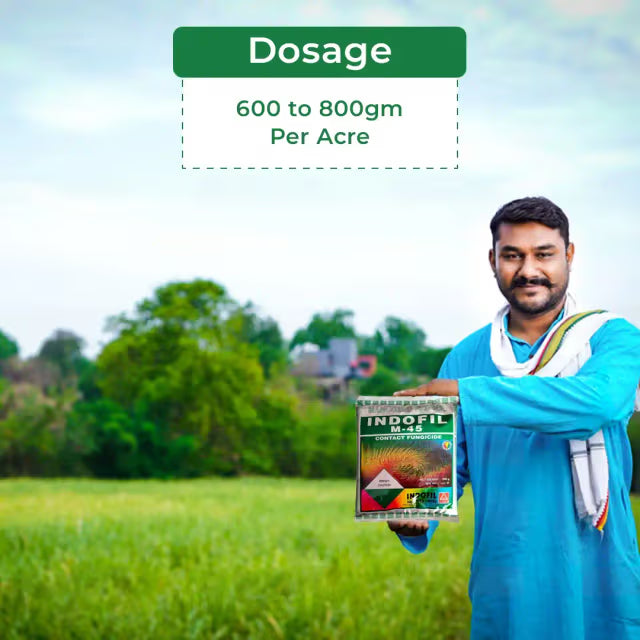 Indofil M-45 Mancozeb 75% WP, A Broad Spectrum Fungicide with Protective Action