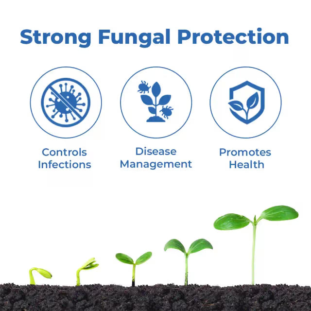 Indofil Z-78 Zineb 75% WP, An Unique Broad Spectrum Fungicides with Zinc Nutrition.