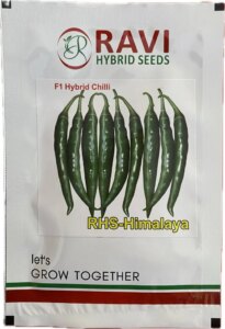 Ravi Seed F1 Hybrid RHS Himalaya Chilli Seed, Glossy Deep Green Color And Medium Pungency