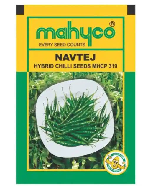 Mahyco MHCP 319 Navtej Hybrid Chilli Seeds, Medium to High Pungency and Dual Purpose Variety