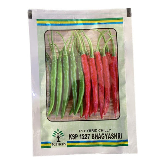 Kalash Chilli KSP 1227 Bhagyashri F1 Hybrid Seeds, Dark Green Color, Pungent Variety