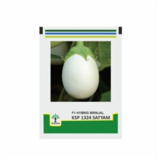 Brinjal seed packet with a picture of a brinjal and text on a white background