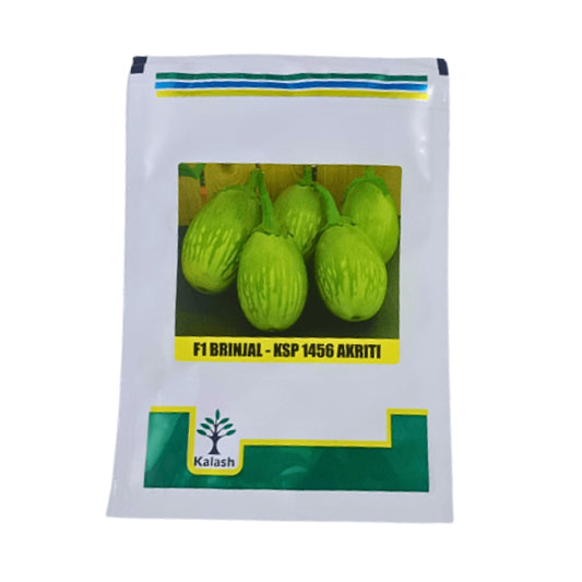 Kalash KSP 1456 AKriti F1 Hybrid Brinjal Vegetable Seeds, Suitable For Rabi, Kharif, Summer